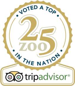 trip advisor voted top 25