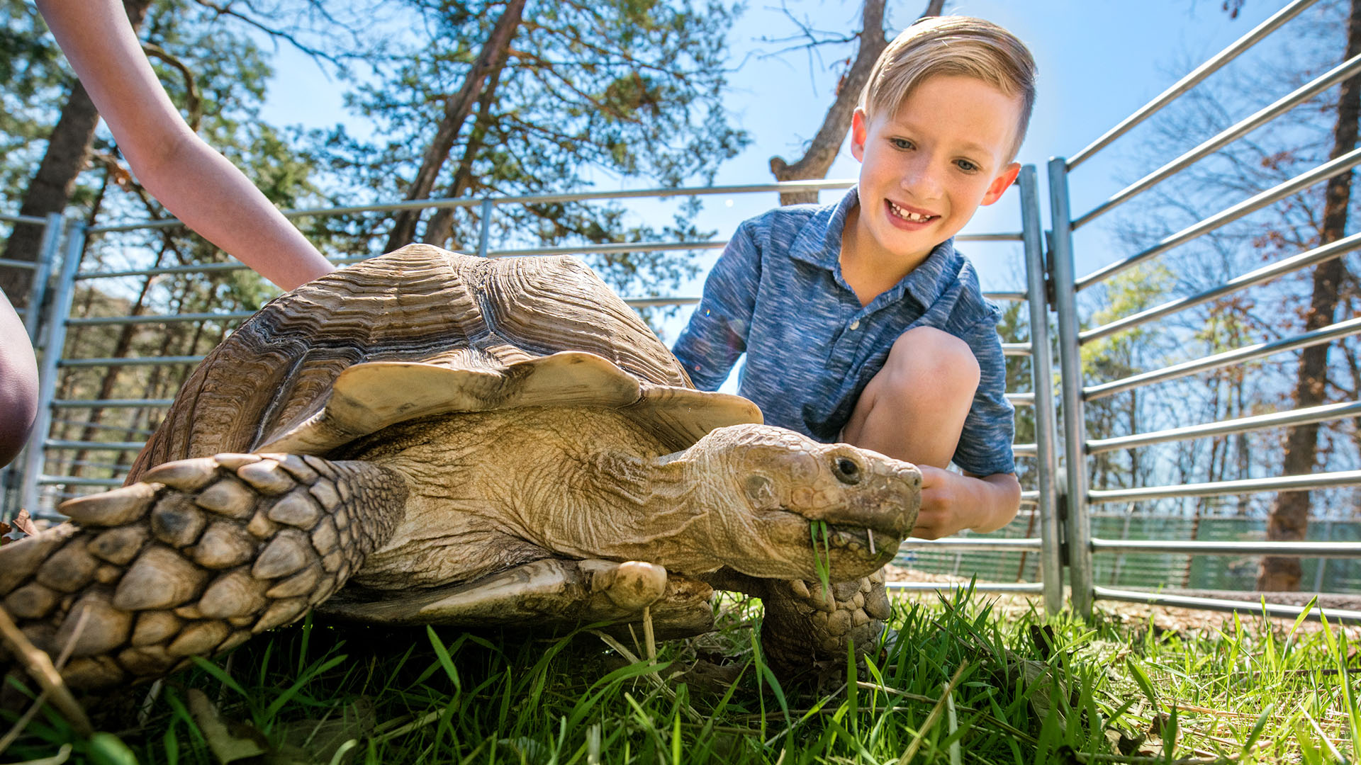 plz-slideshow-UltExc_0001_PLZ_BoyTortoise